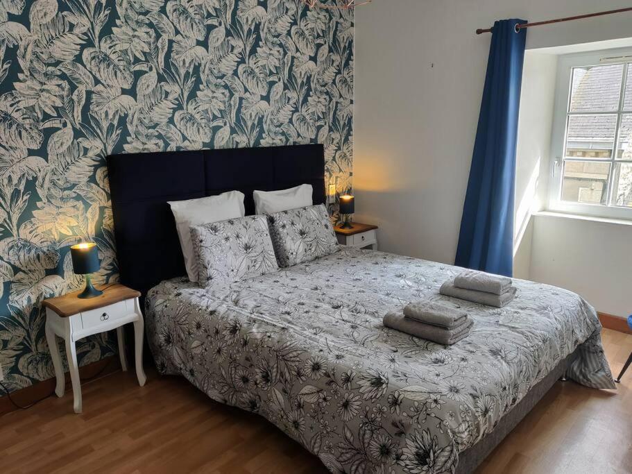 Le Tropica Appartement 2 Chambres, Plein Sud Centre Ville De Vitre المظهر الخارجي الصورة