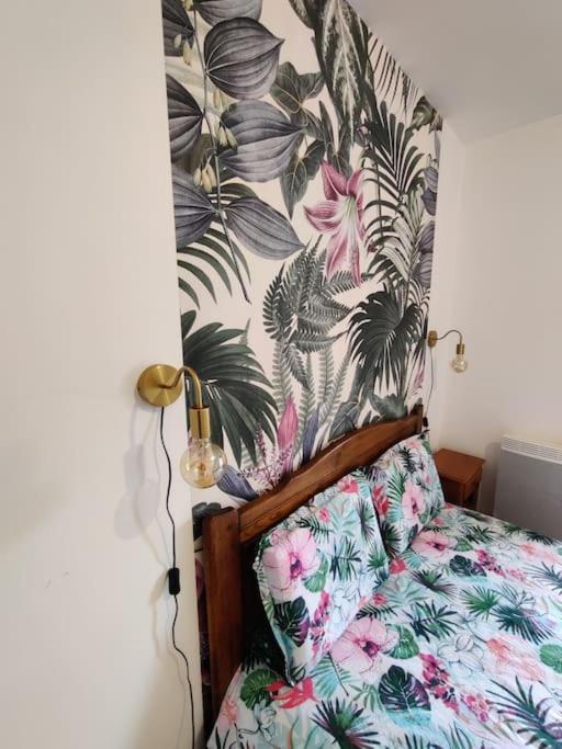 Le Tropica Appartement 2 Chambres, Plein Sud Centre Ville De Vitre المظهر الخارجي الصورة